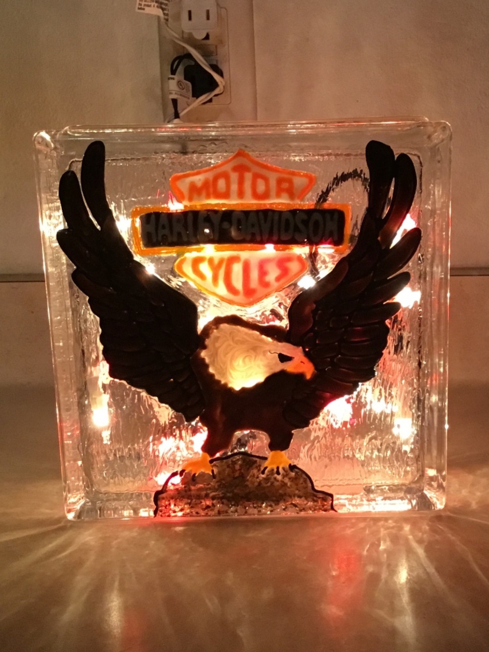 New Hand Painted Eagle Glass Light